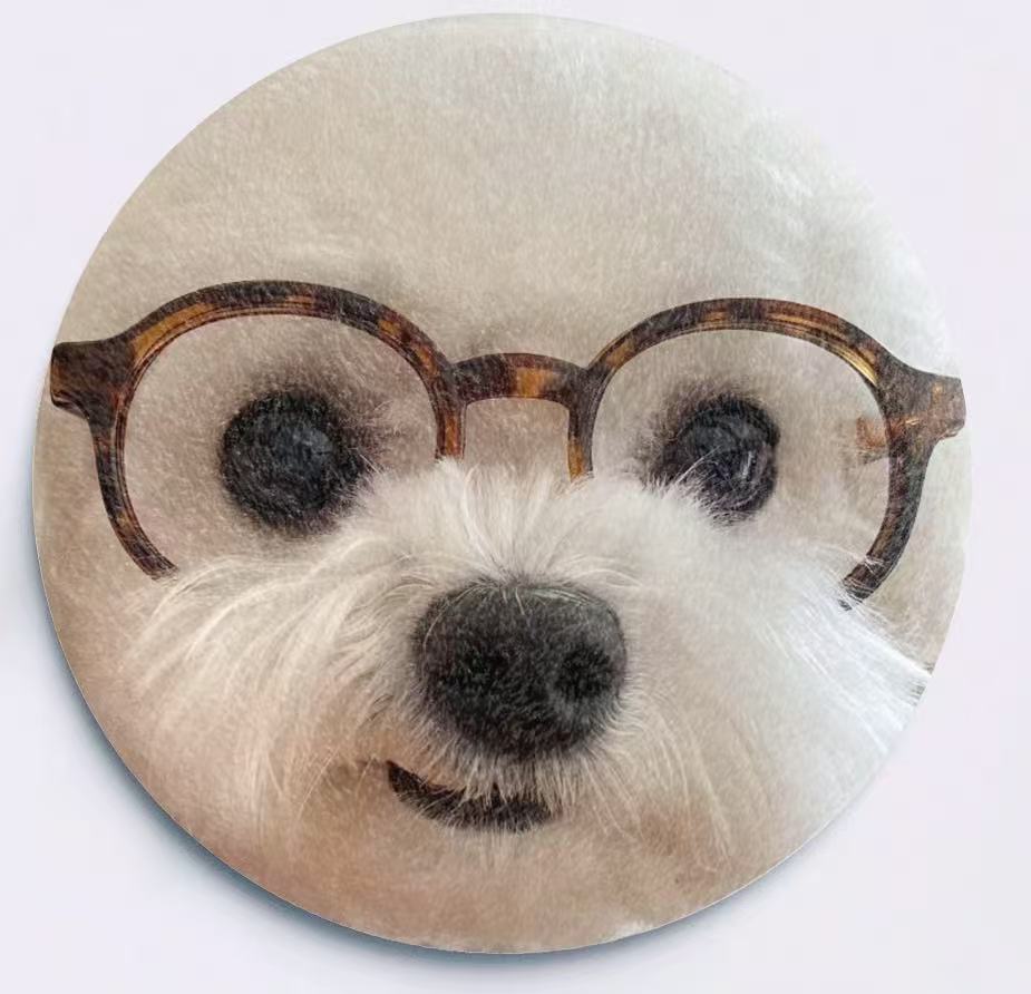 ๐พ Custom Plush Pet Badge โ Squishy, Fluffy, Totally Pin-Worthy! ๐งธ๐