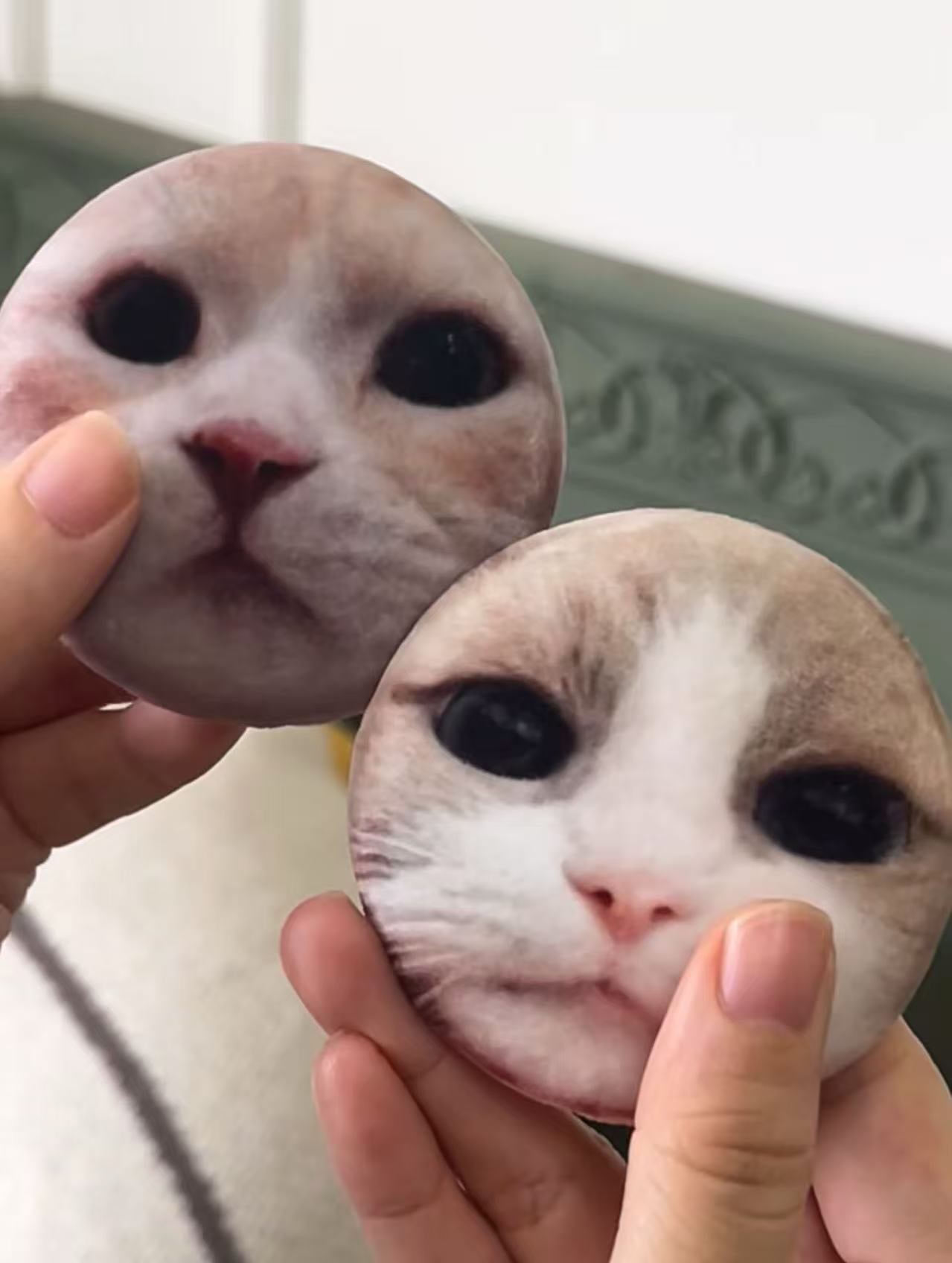๐พ Custom Plush Pet Badge โ Squishy, Fluffy, Totally Pin-Worthy! ๐งธ๐