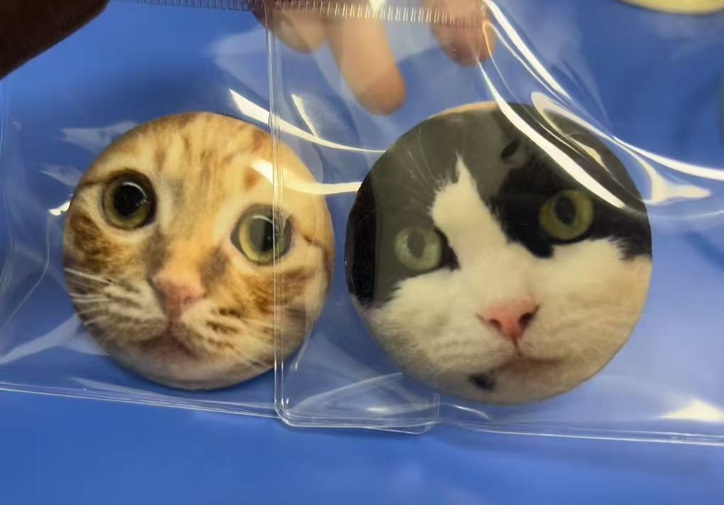 ๐พ Custom Plush Pet Badge โ Squishy, Fluffy, Totally Pin-Worthy! ๐งธ๐