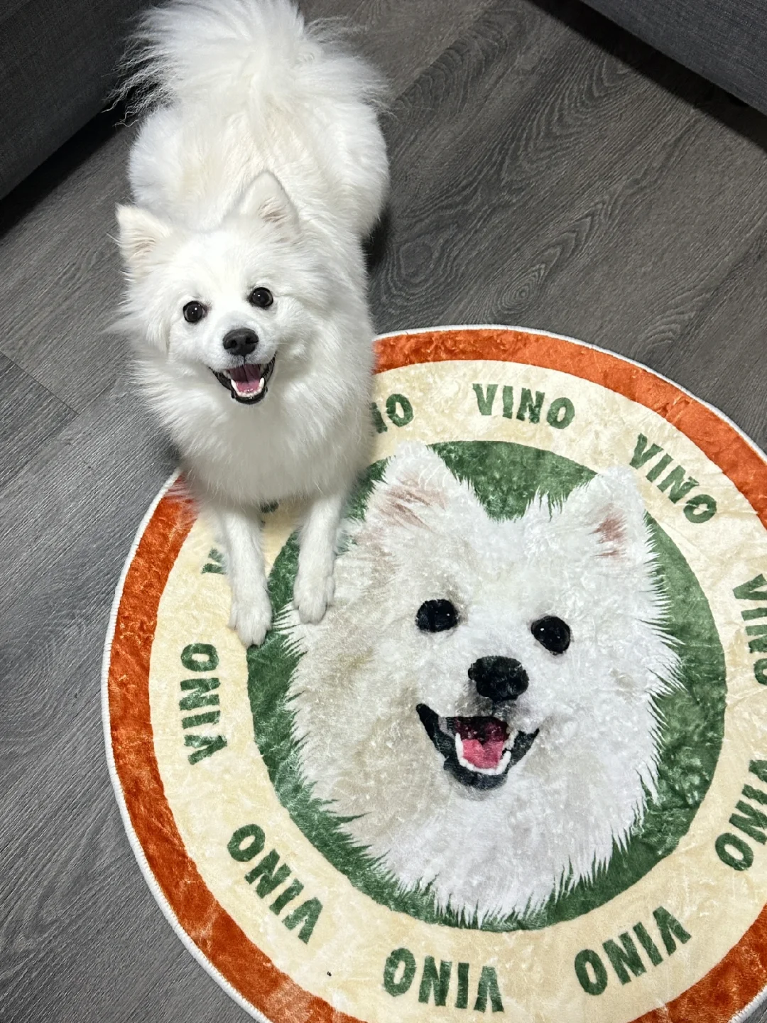 Custom Pet Carpet