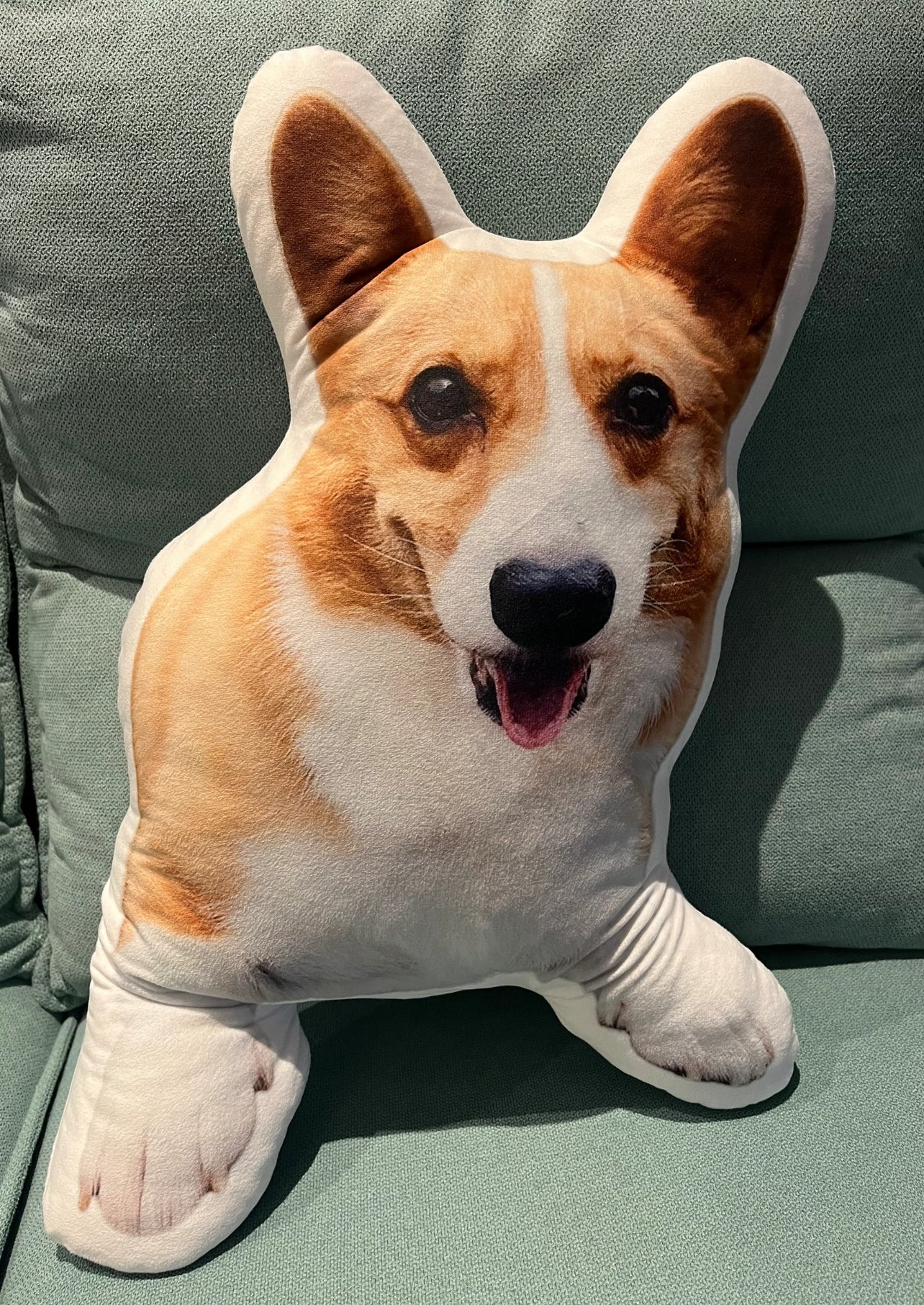 🐾 Custom Double-Sided Pet Plush Pillow – Hug Your Fluffy Baby Anytime! 🐶💖