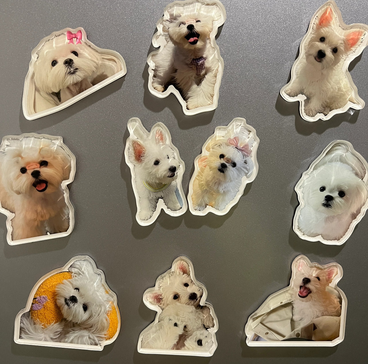 🐾 Custom Acrylic Pet Fridge Magnet – Stick Your Cutie on the Coolest Spot! ❄️🐶