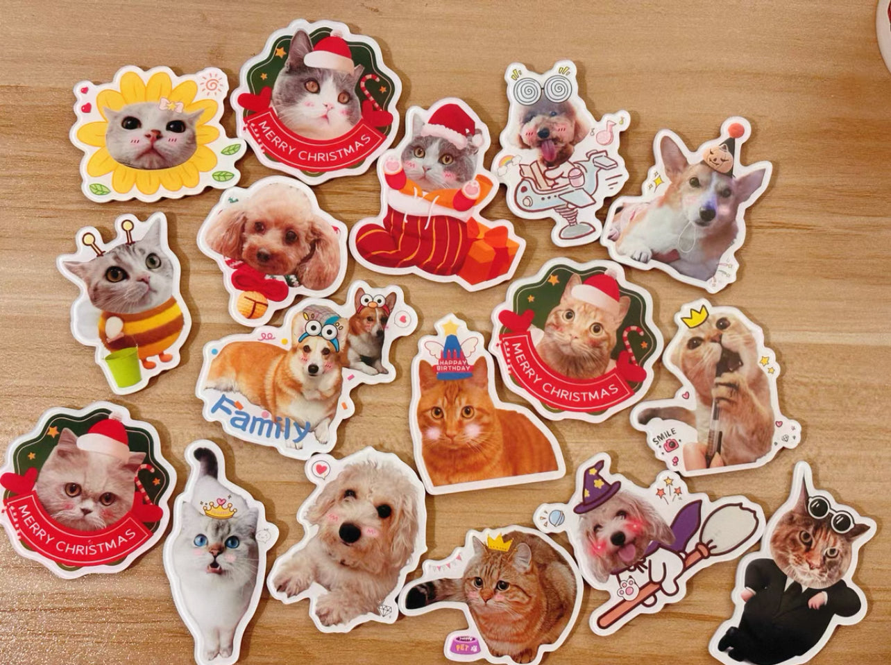 🐾 Custom Acrylic Pet Fridge Magnet – Stick Your Cutie on the Coolest Spot! ❄️🐶